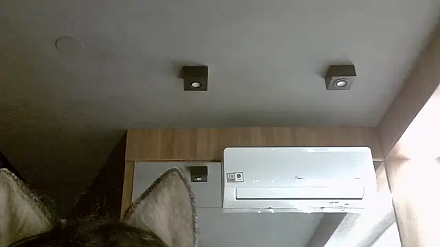 Snapshot of Skinny-Kitten chatting on 11/05/25, 03:09 Skinny-Kitten online show from 11/05/25, 03:09