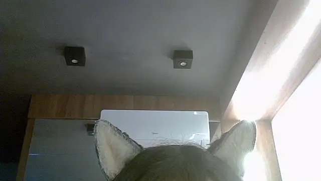 Snapshot of Skinny-Kitten chatting on 07/16/26, 04:48 Skinny-Kitten online show from 07/16/26, 04:48