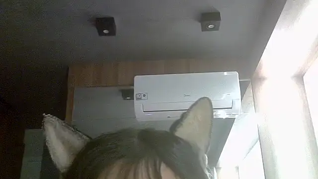 Snapshot of Skinny-Kitten chatting on 06/02/26, 04:07 Skinny-Kitten online show from 06/02/26, 04:07