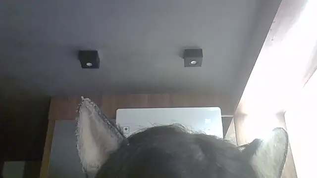 Skinny-Kitten online show from 04/09/26, 01:18