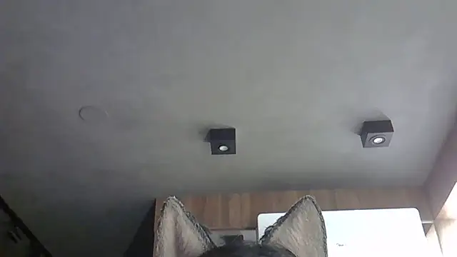 Snapshot of Skinny-Kitten chatting on 10/31/25, 09:32 Skinny-Kitten online show from 10/31/25, 09:32