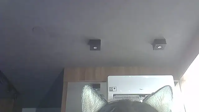 Snapshot of Skinny-Kitten chatting on 12/03/25, 11:14 Skinny-Kitten online show from 12/03/25, 11:14