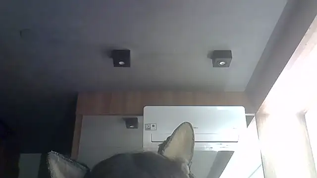 Snapshot of Skinny-Kitten chatting on 06/30/26, 12:10 Skinny-Kitten online show from 06/30/26, 12:10