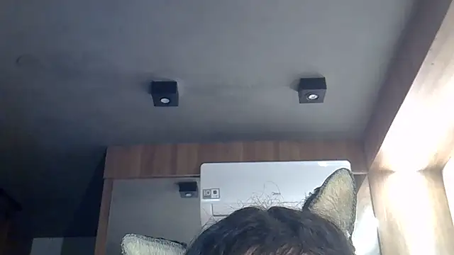Snapshot of Skinny-Kitten chatting on 06/27/26, 01:39 Skinny-Kitten online show from 06/27/26, 01:39