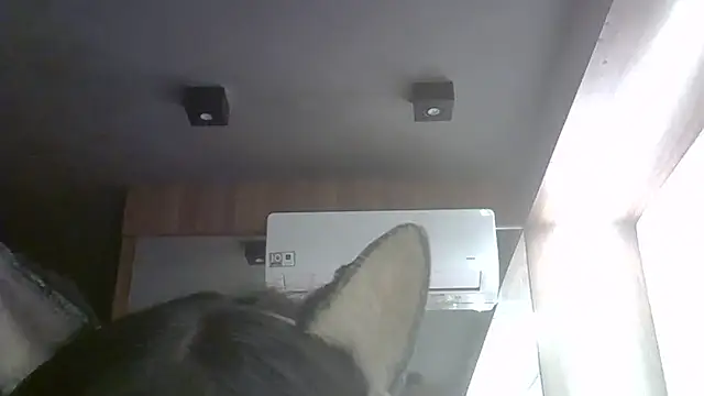 Skinny-Kitten online show from 05/26/26, 08:51