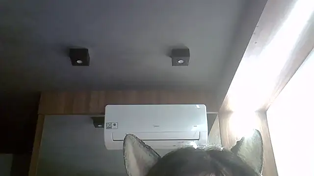 Skinny-Kitten online show from 04/03/26, 09:38