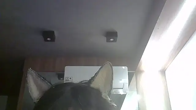 Skinny-Kitten online show from 05/22/26, 02:59