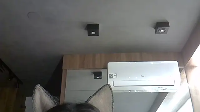 Snapshot of Skinny-Kitten chatting on 11/13/25, 02:26 Skinny-Kitten online show from 11/13/25, 02:26