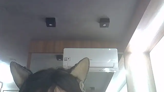 Snapshot of Skinny-Kitten chatting on 06/07/26, 05:23 Skinny-Kitten online show from 06/07/26, 05:23