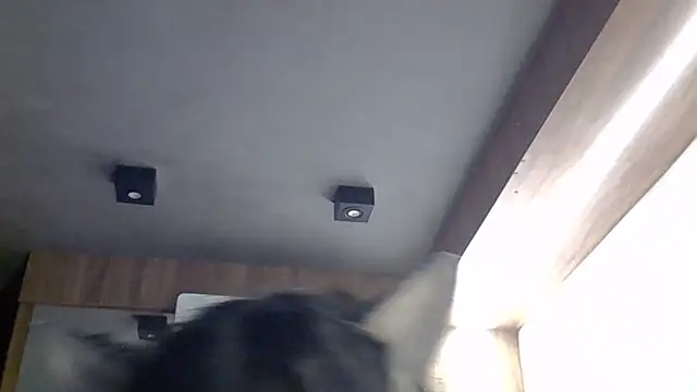 Skinny-Kitten online show from 03/30/26, 04:52