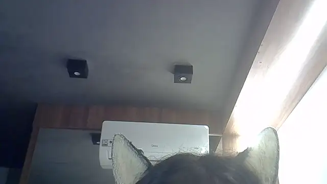 Skinny-Kitten online show from 04/08/26, 12:34