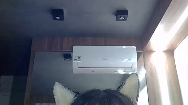 Snapshot of Skinny-Kitten chatting on 06/26/26, 11:38 Skinny-Kitten online show from 06/26/26, 11:38