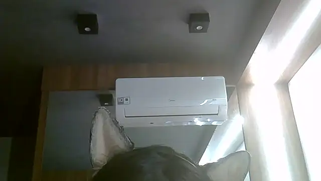 Snapshot of Skinny-Kitten chatting on 07/05/26, 06:04 Skinny-Kitten online show from 07/05/26, 06:04