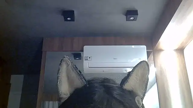 Snapshot of Skinny-Kitten chatting on 06/30/26, 02:06 Skinny-Kitten online show from 06/30/26, 02:06