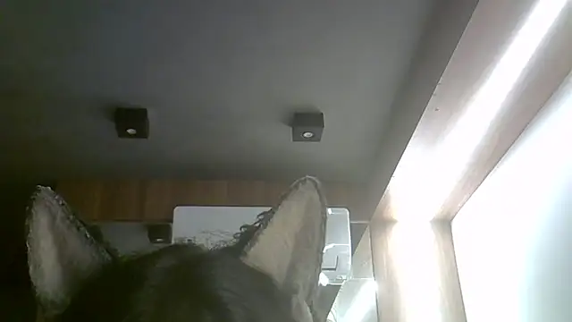 Skinny-Kitten online show from 02/15/26, 02:12