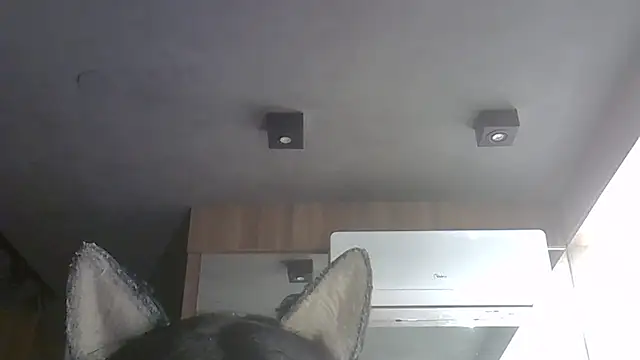 Skinny-Kitten online show from 02/02/26, 04:39