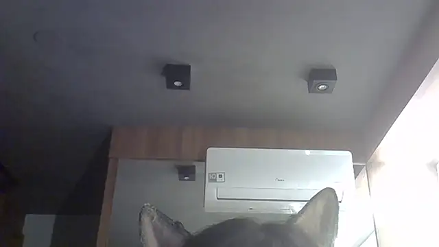 Skinny-Kitten online show from 02/10/26, 11:59