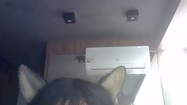 Snapshot of Skinny-Kitten chatting on 07/01/26, 02:34 Skinny-Kitten online show from 07/01/26, 02:34