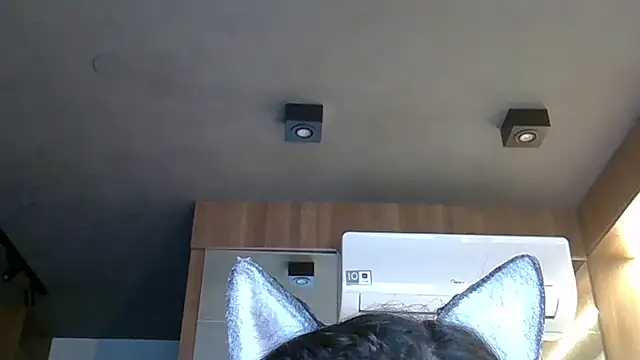 Snapshot of Skinny-Kitten chatting on 10/28/25, 05:34 Skinny-Kitten online show from 10/28/25, 05:34