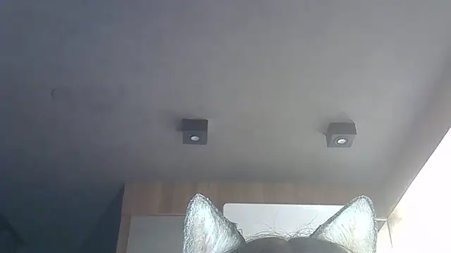 Snapshot of Skinny-Kitten chatting on 12/15/25, 01:44 Skinny-Kitten online show from 12/15/25, 01:44