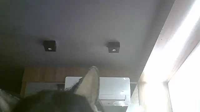 Skinny-Kitten online show from 05/17/26, 11:10