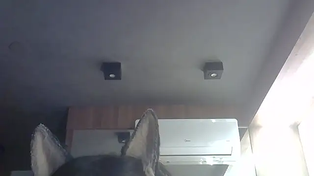 Skinny-Kitten online show from 02/28/26, 02:44