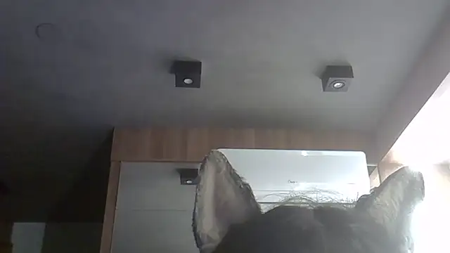 Skinny-Kitten online show from 02/09/26, 10:24