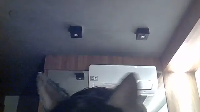 Snapshot of Skinny-Kitten chatting on 07/12/26, 07:42 Skinny-Kitten online show from 07/12/26, 07:42