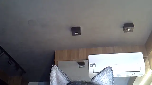 Snapshot of Skinny-Kitten chatting on 11/06/25, 05:17 Skinny-Kitten online show from 11/06/25, 05:17