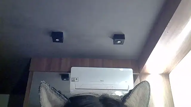 Skinny-Kitten online show from 05/20/26, 02:36
