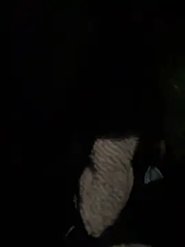 prekumstud online show from 04/23/26, 04:08