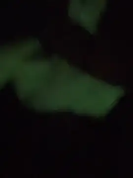 Snapshot of prekumstud chatting on 09/25/25, 05:13 prekumstud online show from 09/25/25, 05:13