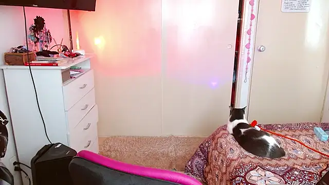 alisseallie online show from 03/21/26, 02:32