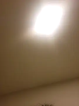 lofibunni online show from 02/15/26, 03:29