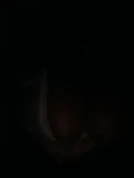 m yummyshish online show from 04/01/26, 01:30