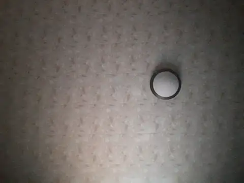 Snapshot of Stormward chatting on 11/30/25, 11:38 Stormward online show from 11/30/25, 11:38