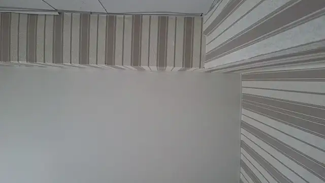 Snapshot of lily__foster chatting on 09/22/25, 05:46 lily foster online show from 09/22/25, 05:46