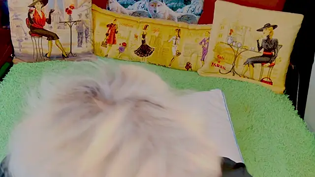 stiphlermom online show from 11/29/25, 03:34