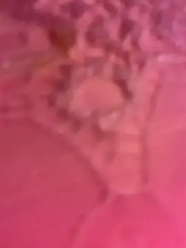 ThICk JuIcEy online show from 01/08/26, 08:42