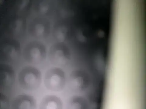 Danii0790 online show from 11/08/25, 06:39