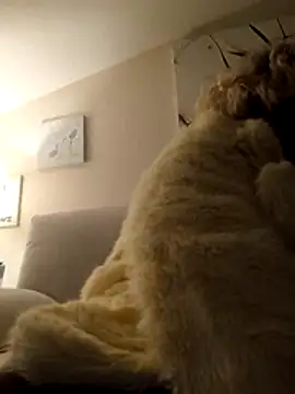 Merilulla online show from 11/14/25, 01:20