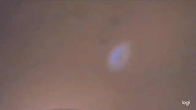 MYFAVOURITESTRAGER online show from 02/11/26, 05:13