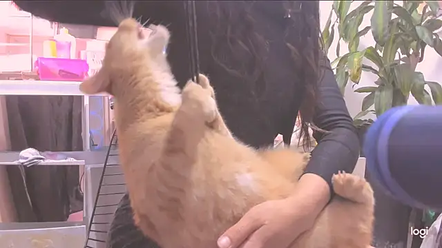 MYFAVOURITESTRAGER online show from 03/10/26, 08:46