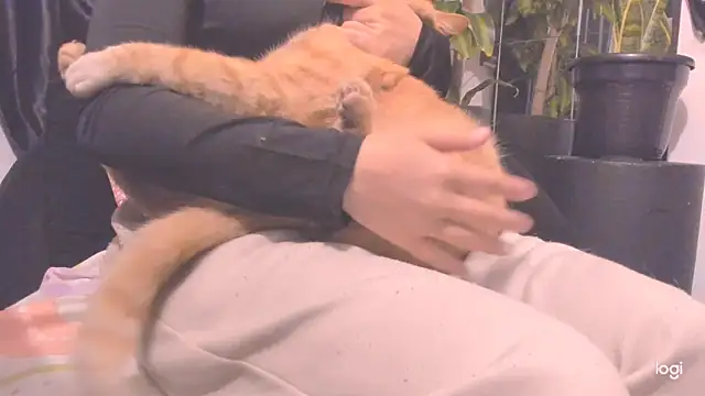 MYFAVOURITESTRAGER online show from 11/23/25, 02:54