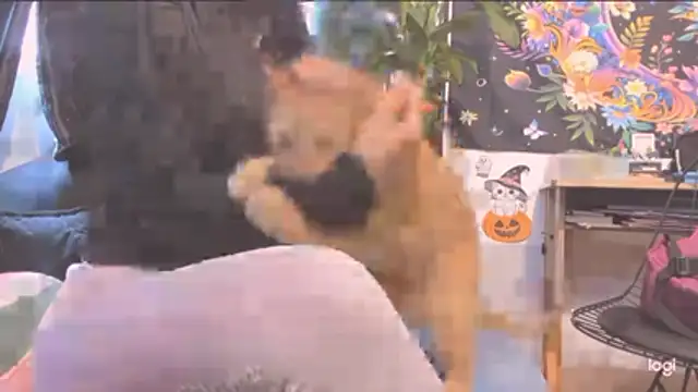 MYFAVOURITESTRAGER online show from 10/30/25, 04:04