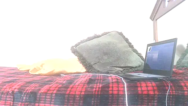 blkhereforall online show from 10/26/25, 09:26