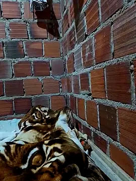 Snapshot of w31 chatting on 04/16/26, 02:45 w31 online show from 04/16/26, 02:45