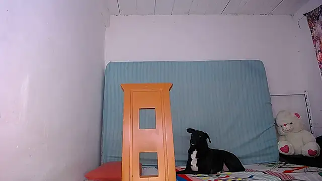 yselahot online show from 11/17/25, 03:27