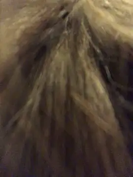  Sweet Love  online show from 03/29/26, 01:02