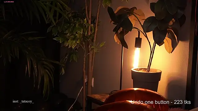 Snapshot of TataCoy chatting on 02/15/26, 02:49 TataCoy online show from 02/15/26, 02:49